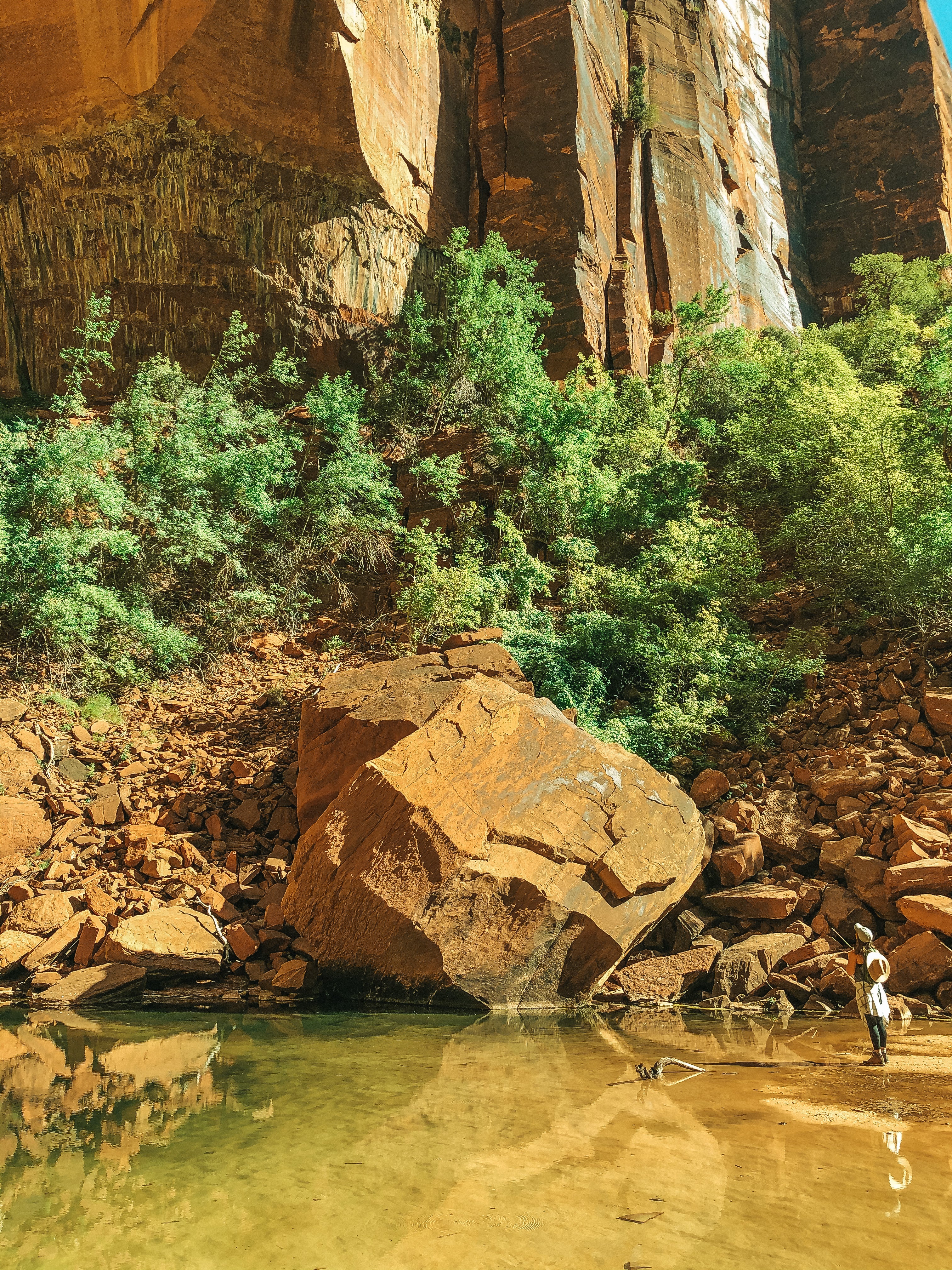 emerald pools zion national park