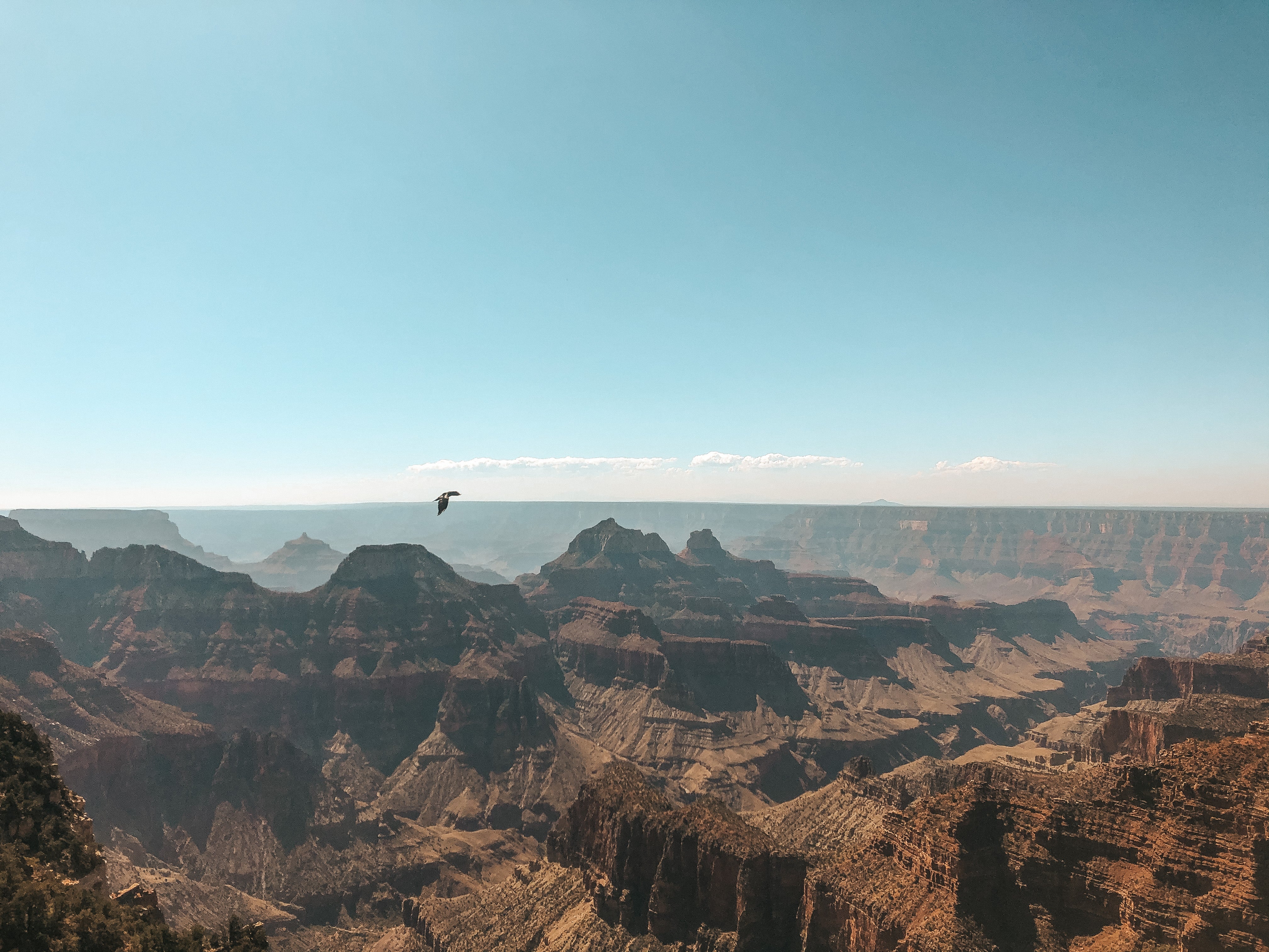 the grand canyon