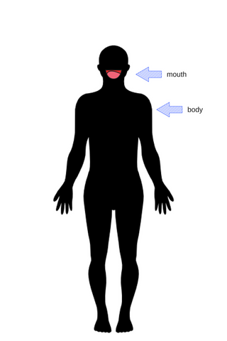 Mouth and Body Overall Health