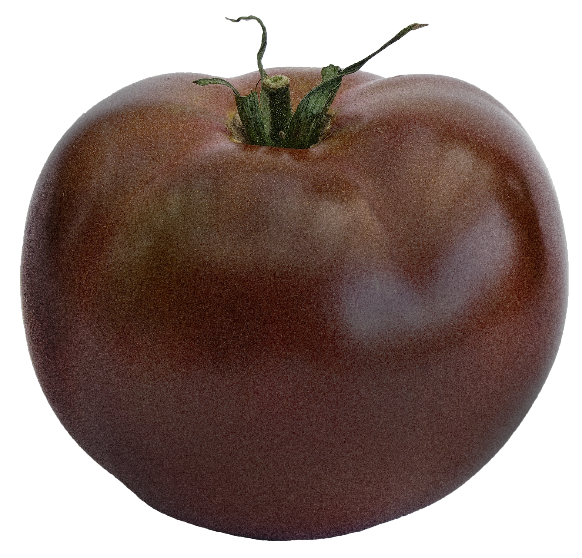 schwarze Tomate