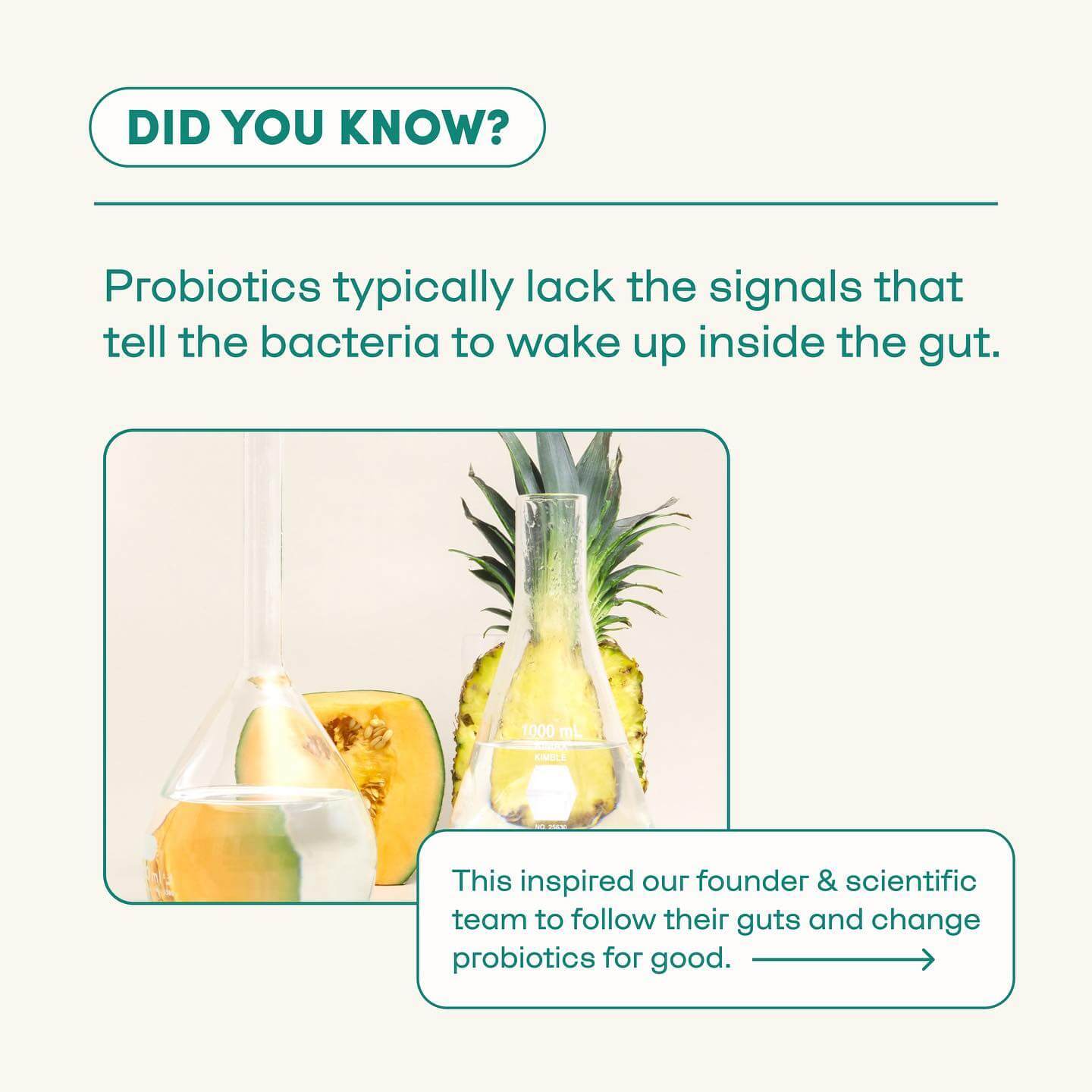 the problem with modern probiotics and your gut health