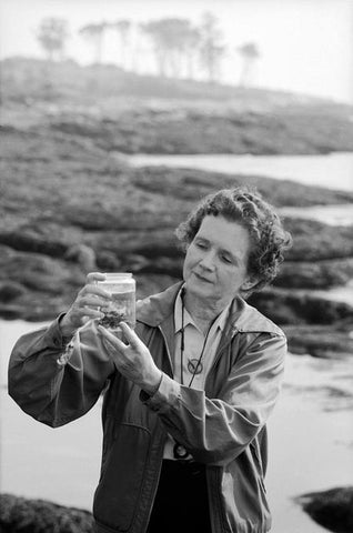 Rachel Carson, environmental scientist and writer.