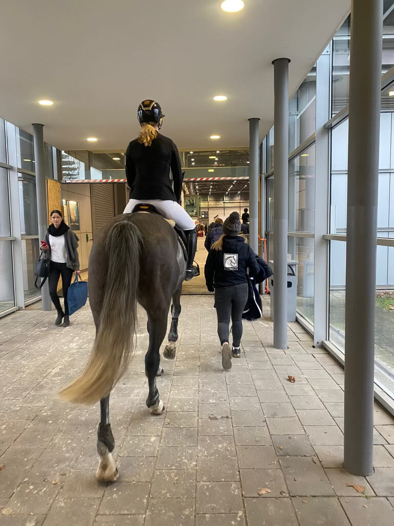 Emma Wiktors & Vivienne Schuldt beim Partner Pferd Junior Cup in Leipzig