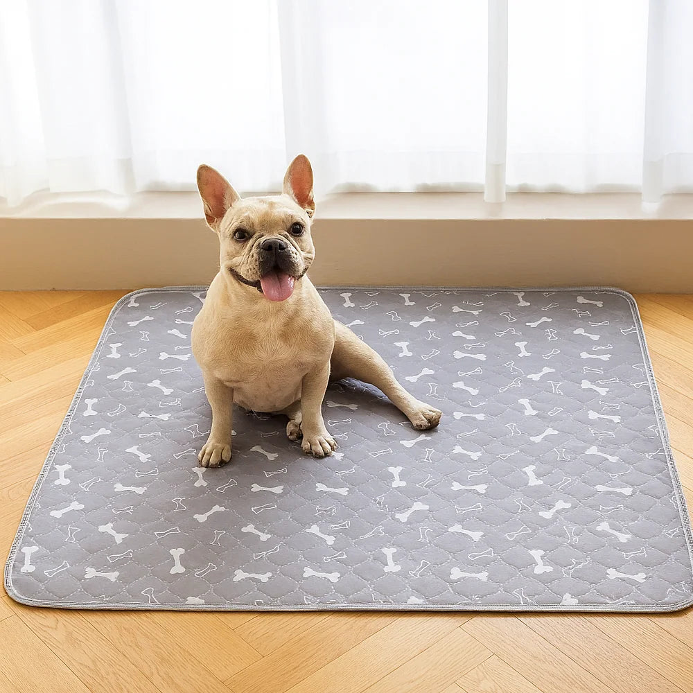 Dog size illustration