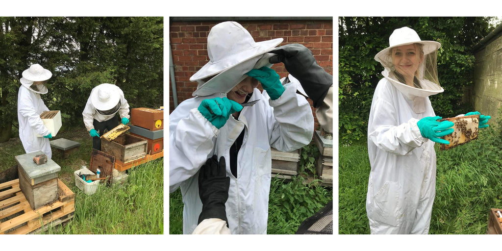 Bee Clean Soaps soapmaker beekeeping 