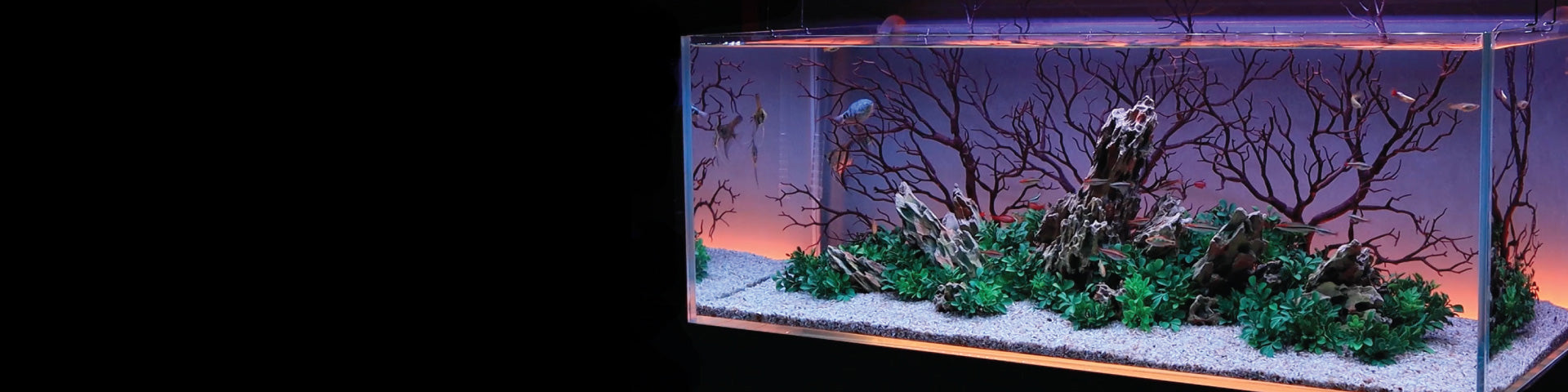 Serene LED Aquarium Lights