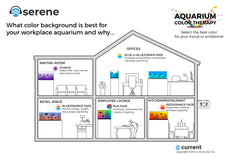 Aquarium Background Color Guide for Business and Office