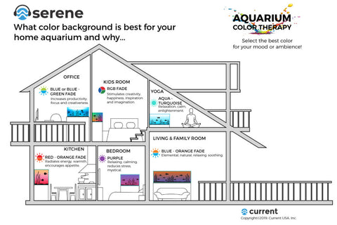 Serene Background Light Infographic for home aquariums
