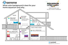 Aquarium Background Color Guide for the Home