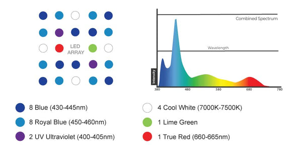 R24 Reef LED Light color spectrum for SPS and LPS corals” style=