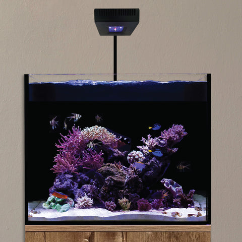 95w R24 Reef LED for mixed SPS and LPS reef aquariums
