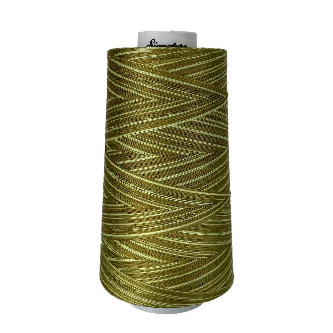 F150 Sun Lime Splash Signature Cotton Variegated Thread