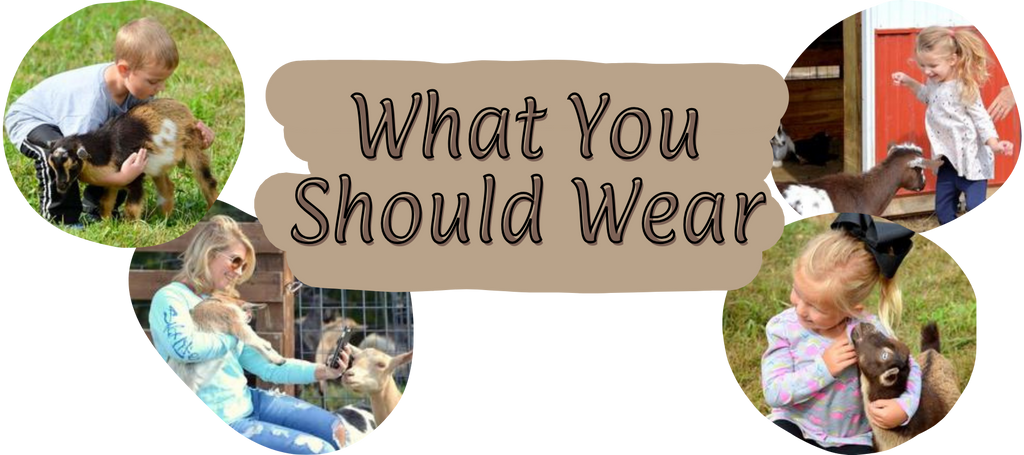 what-you-should-wear