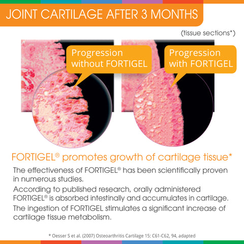 Sparkle Joint Boost with FORTIGEL and TENDOFORTE repairs joint cartilage