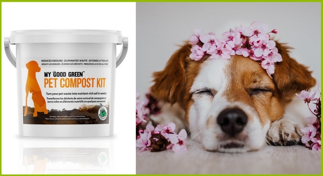 Bokashi Pet Compost Kit for Dog Poop