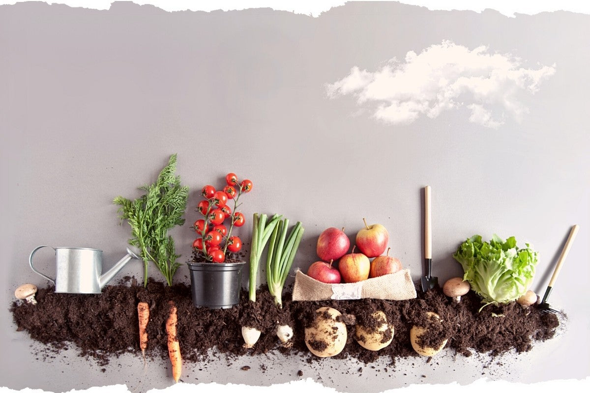 Why Compost Using Bokashi Indoor Compost Bin