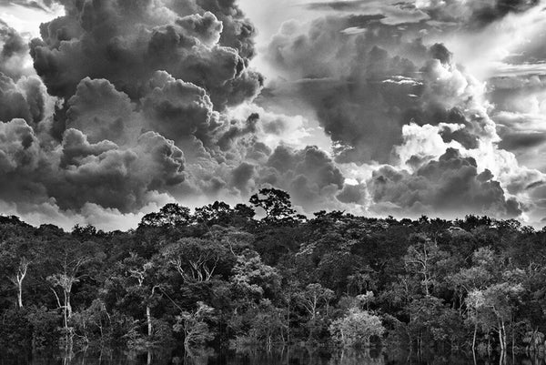 Show Sebastiao Salgado Amazonia - Design Italy