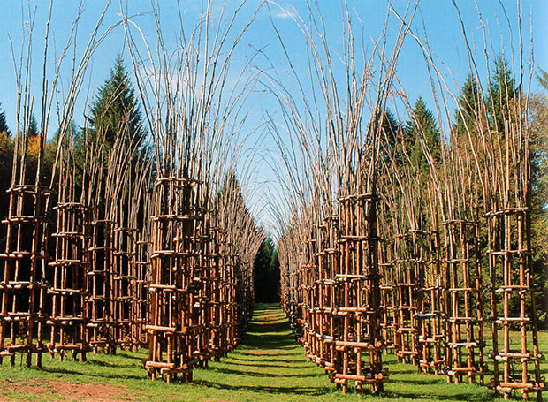 Giuliano Mauri’s Vegetal Cathedral in Arte Sella