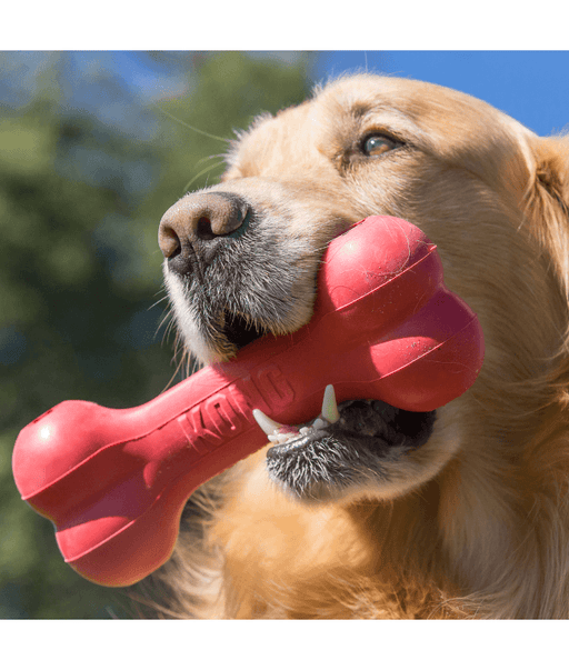 PetGeek Interactive Dog Toy - Playbone – P
