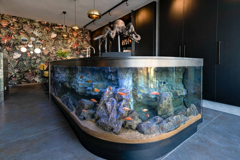 Verslijten Intact Bloody Kookeiland met ingebouwd aquarium | OBLY