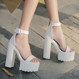 Gothic Open Toe Ankle Strap Platform Shoes