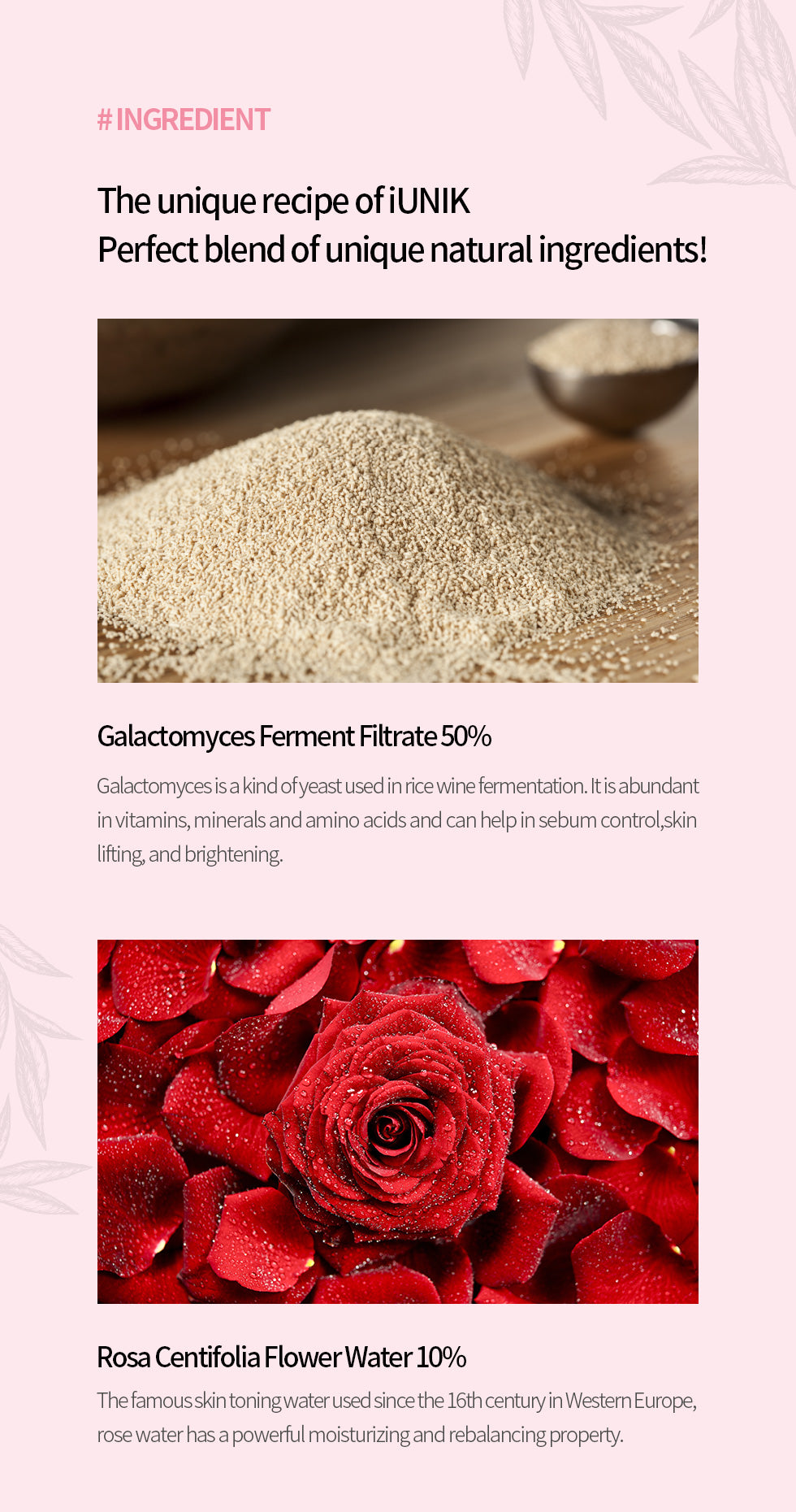 Rose Galactomyces Synergy Serum