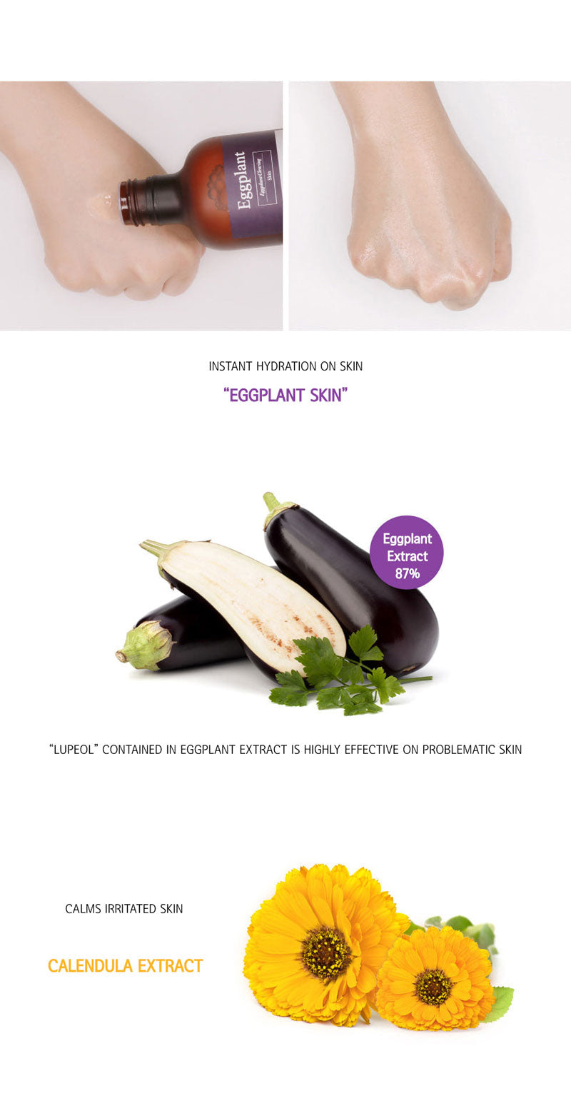 paparecipe-eggplant-skin-3.jpg