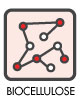 biocellulose
