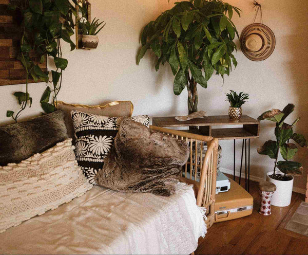 Cozy Room with indoor plant