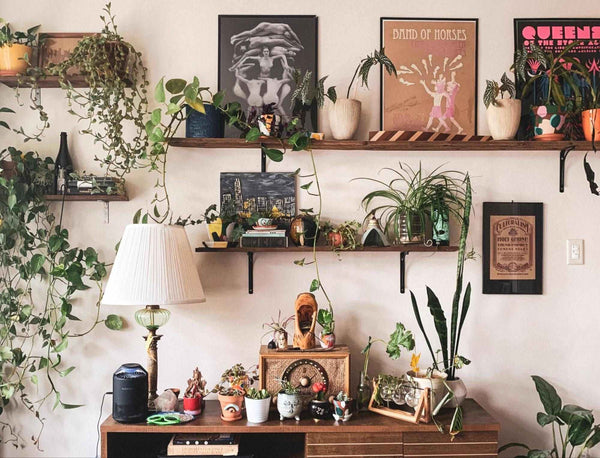cozy and artistic corner of a room adorned with various plants, artwork, and decorative items displayed on shelves and a table