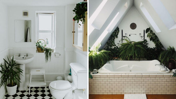 Two examples of bathrooms with lots of plants