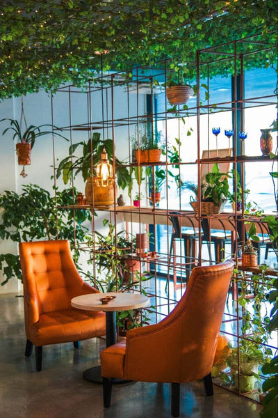 Flowers and greenery to help create separate areas in a cafe setting