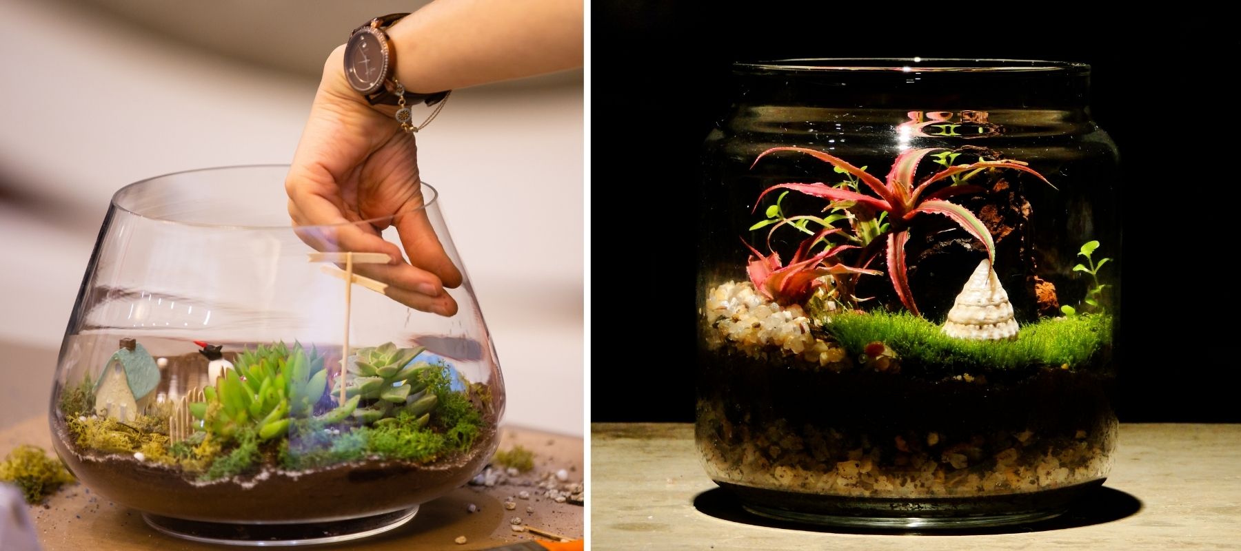 déco terrarium