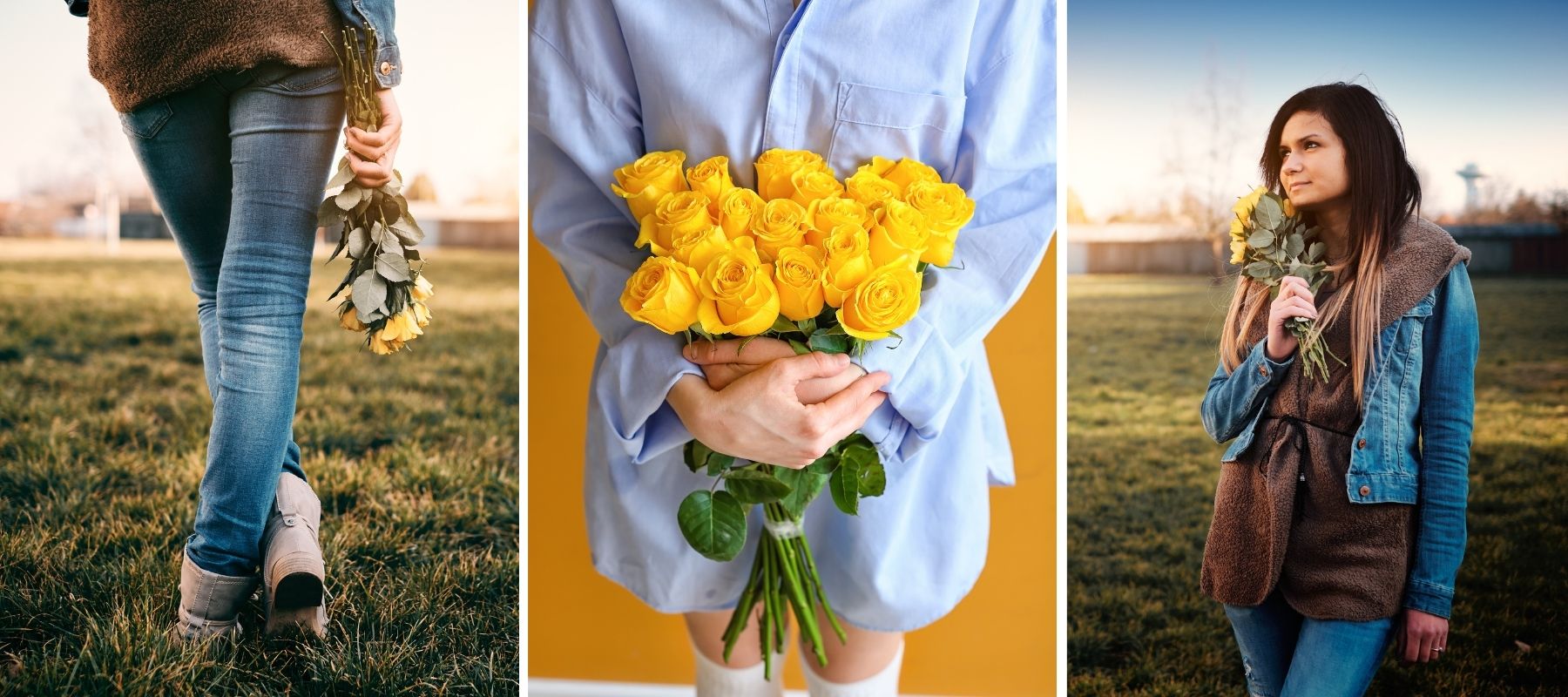 Tout savoir sur la Rose jaune 💛 [Signification & Cadeau]