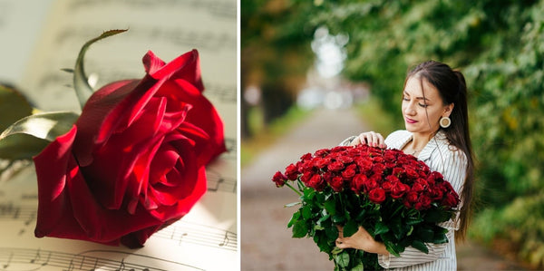 Tout savoir sur la Rose rouge 🌹 [Signification & Cadeau]