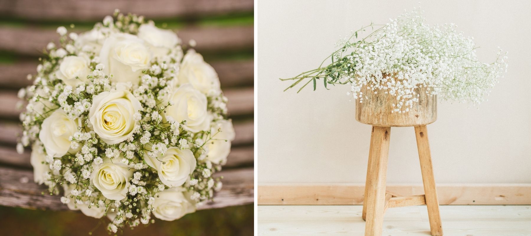 Tout savoir sur la Gypsophile [Sens, Mariage, Jardinage]