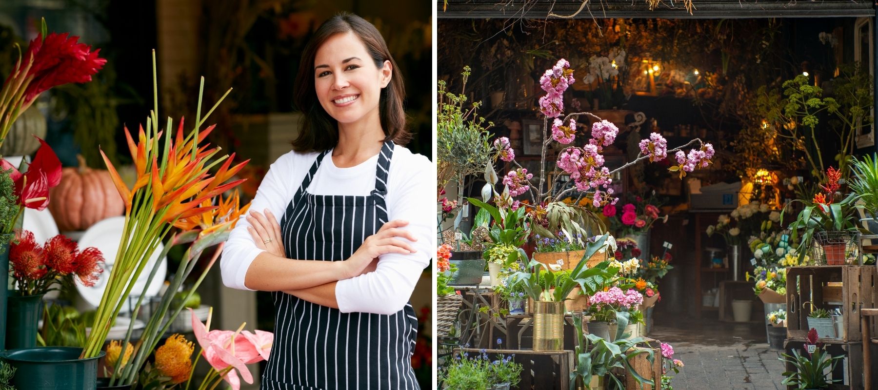 Quel est le prix d'un bouquet de fleurs?[Comment économiser]