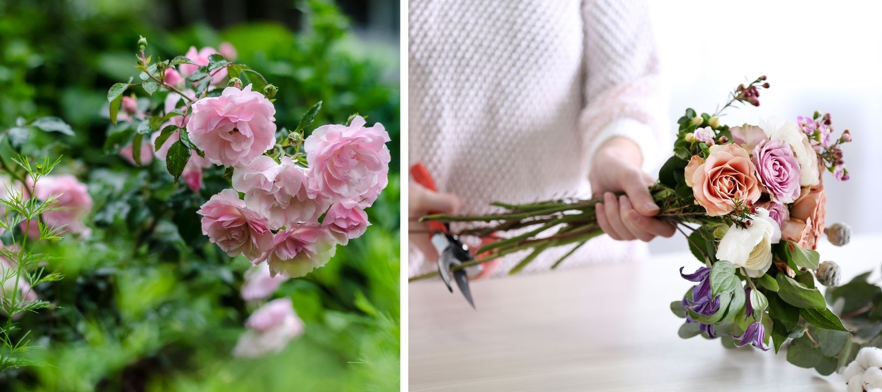 bouquet de roses du jardin