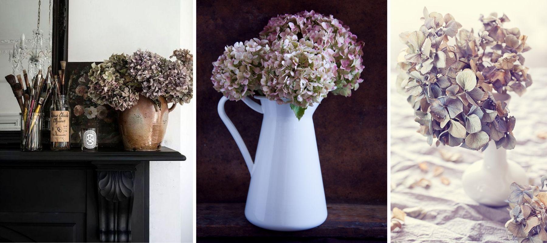 bouquet hortensias séchés