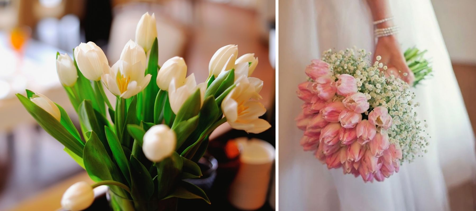 bouquet mariée tulipes