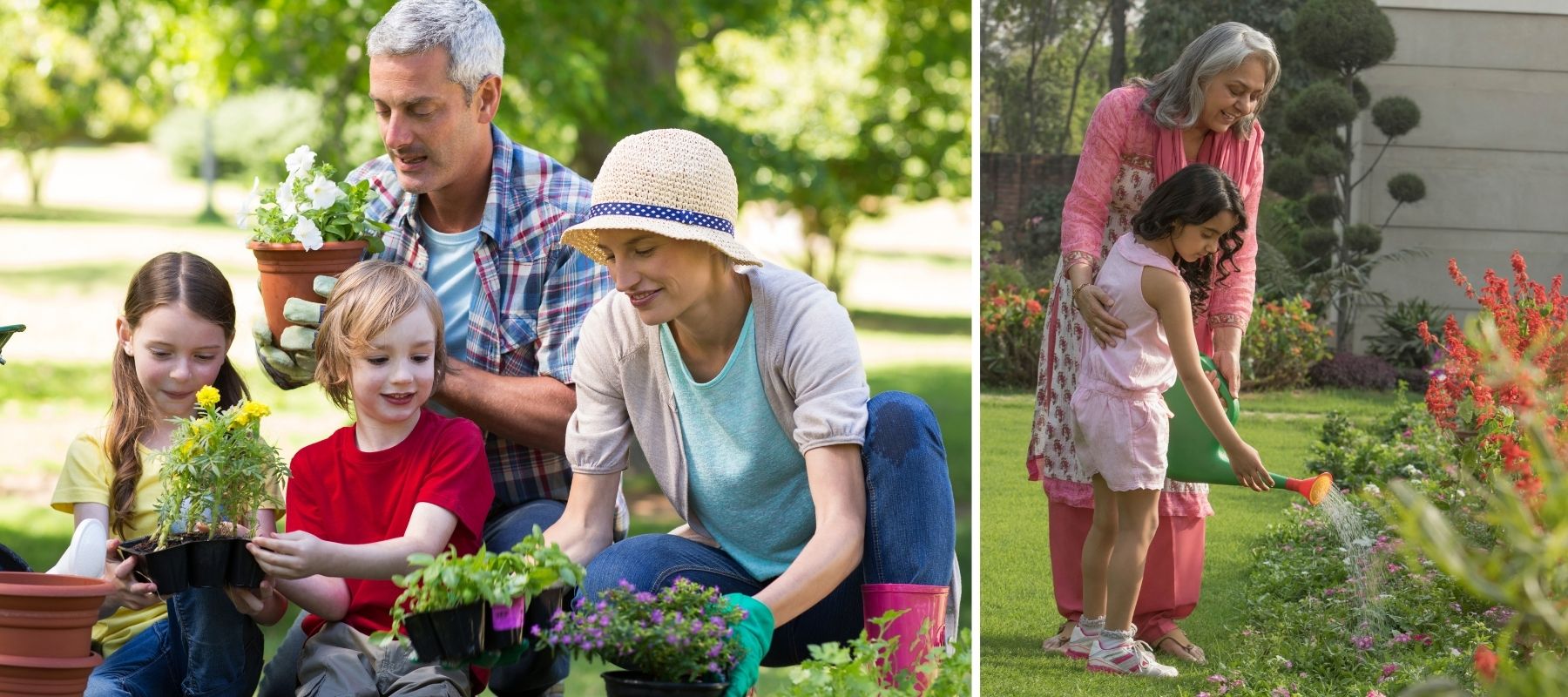 famille jardin fleurs papy mamie