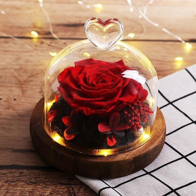 Rose Éternelle Sous Cloche LED | Auréole Florale