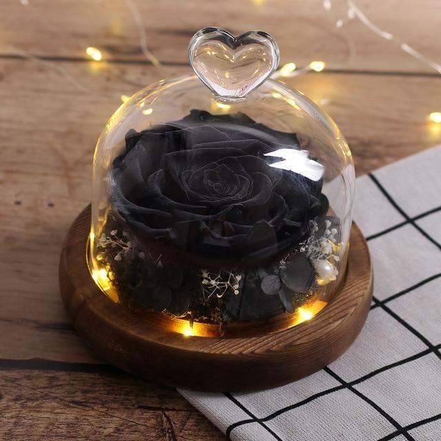 Mini Rose Éternelle Sous Cloche Noire | Auréole Florale