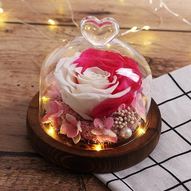 Mini Rose Éternelle Sous Cloche Rose et Blanche | Auréole Florale