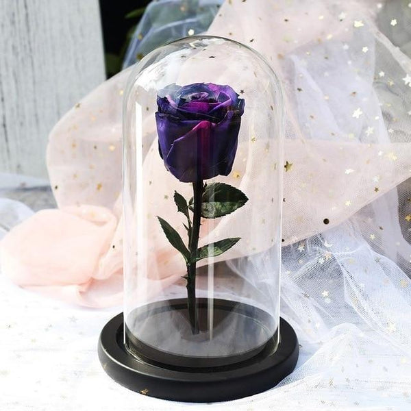 Rose Éternelle Violette | Auréole Florale