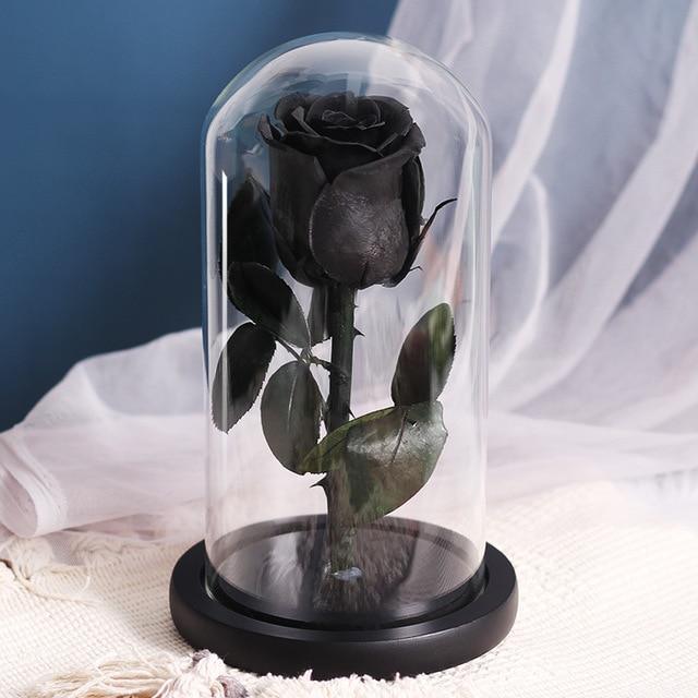 Rose Éternelle Noire Sous Cloche | Auréole Florale