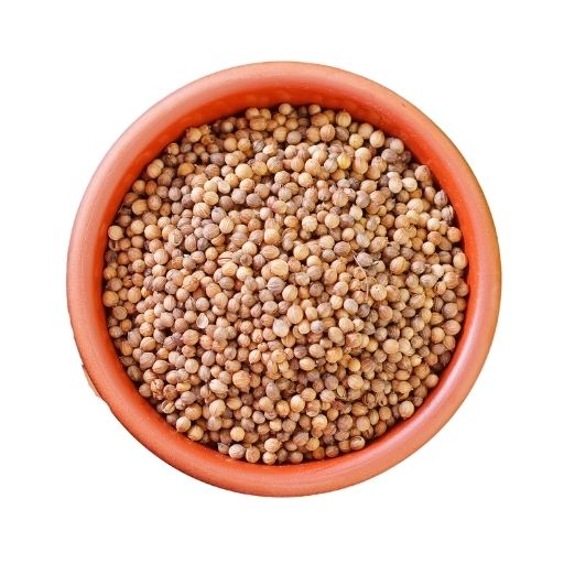 மல்லி | CORIANDER