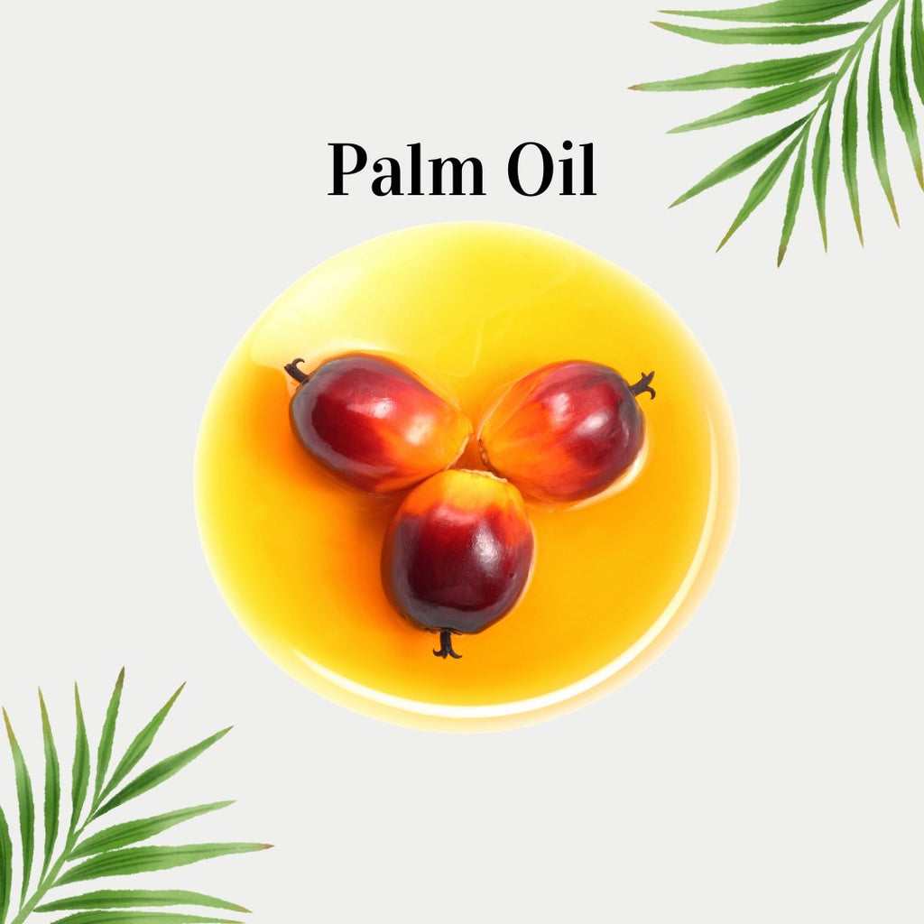 பாம் | Palm Oil