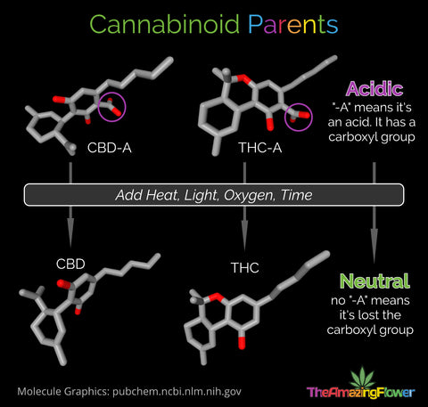 Acidic versus neutral cannabinoids, Visual of how they get neutralized