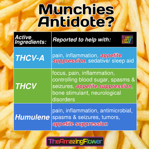 Image of table with appetite suppressing molecules THCV-A, THCV, Humulene with french fries in the background.